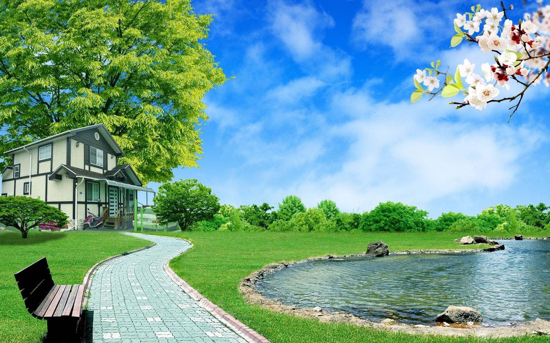 verano árbol paisaje agua hierba al aire libre naturaleza cielo viajes césped escénico luz del día madera lago parque