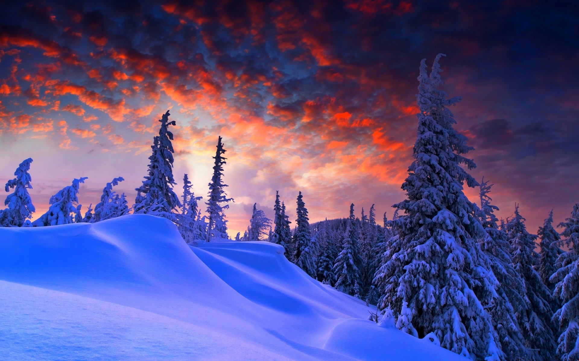 winter snow mountain cold scenic landscape wood