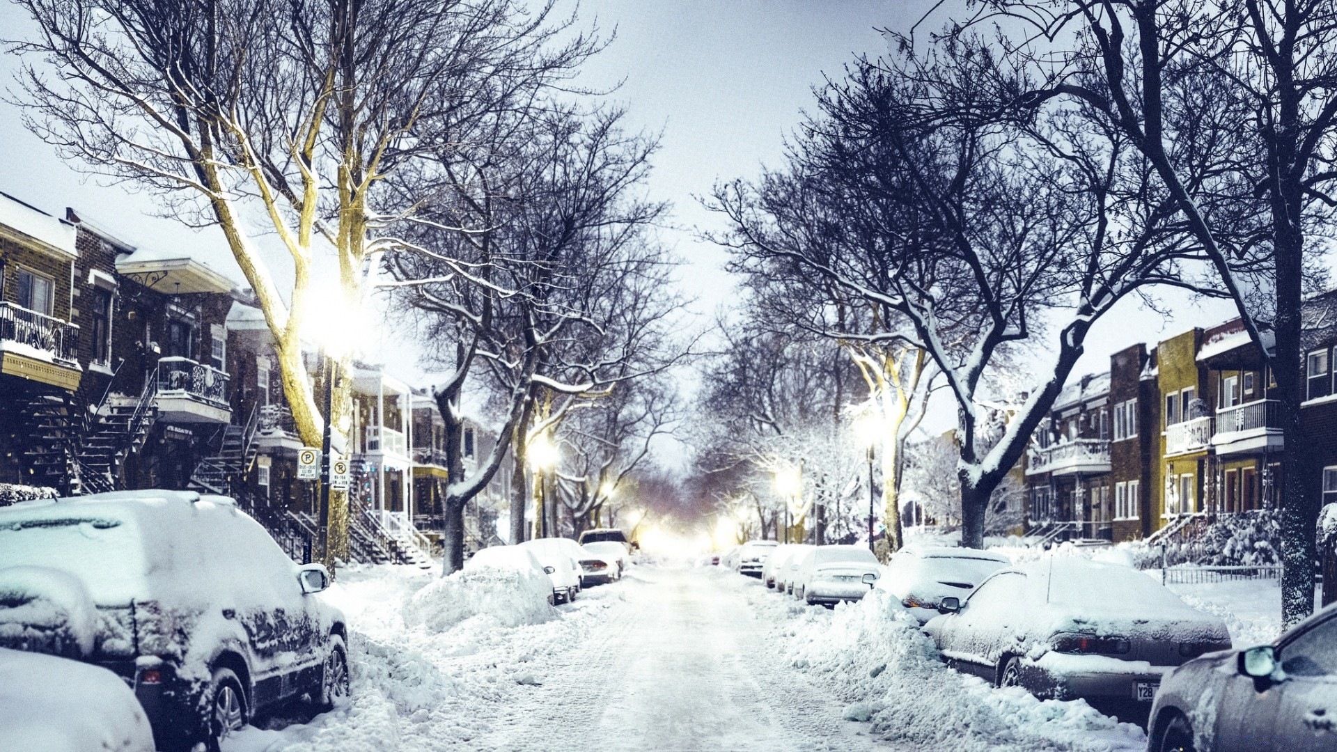 invierno nieve escarcha tiempo frío congelado tormenta de nieve hielo carretera calle estación árbol tormenta al aire libre