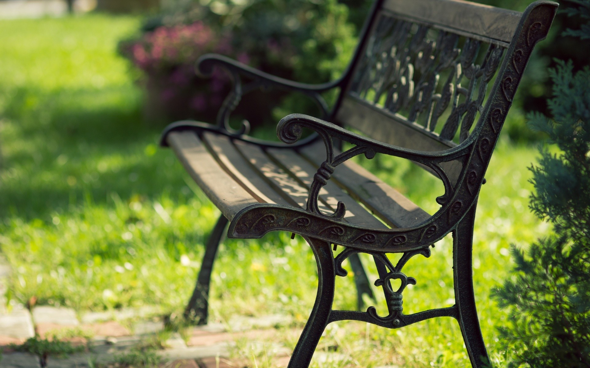 yaz bahçe yer tezgah sandalye park doğa ahşap boş açık havada çimen yaprak dinlenme dışarıda flora ağaç gevşeme bir çim