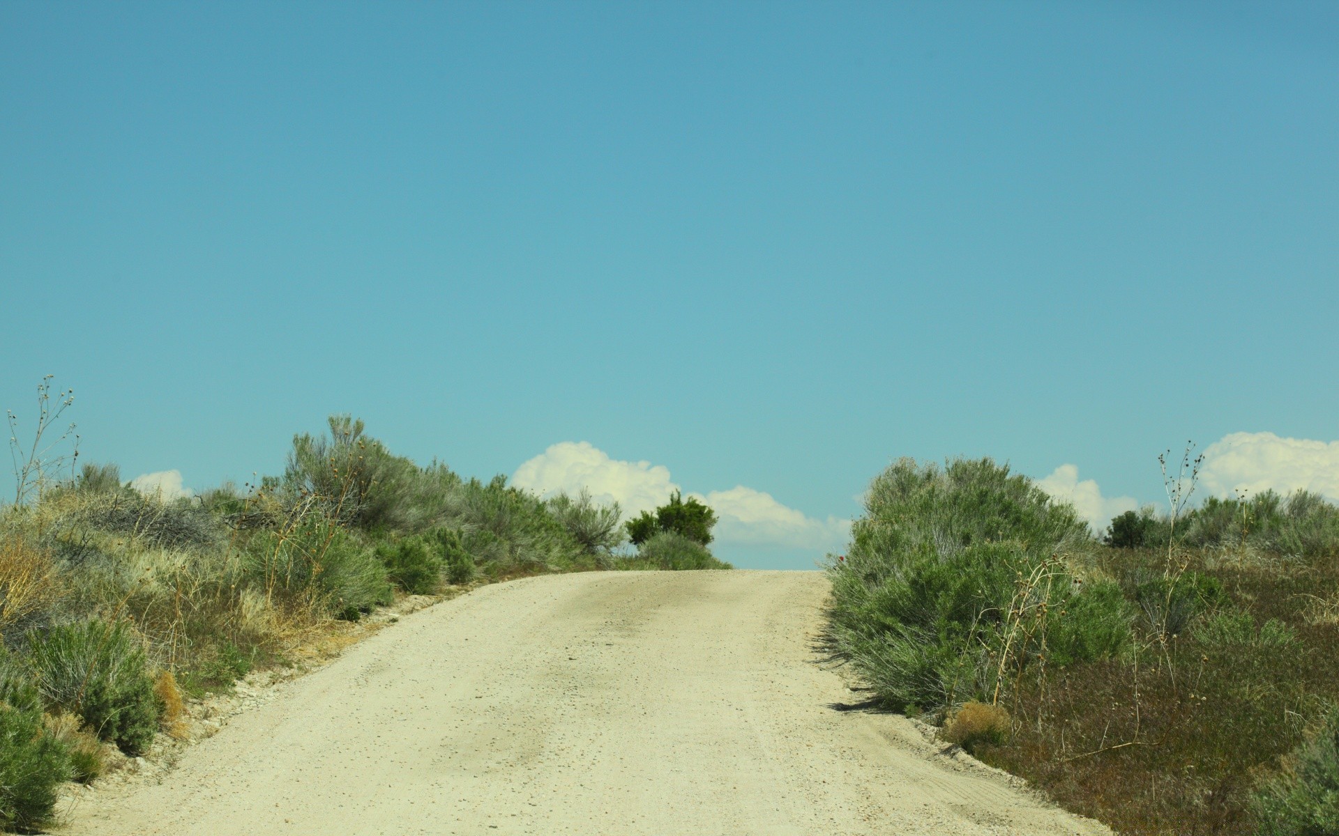 summer landscape tree nature sky travel outdoors road sand grass