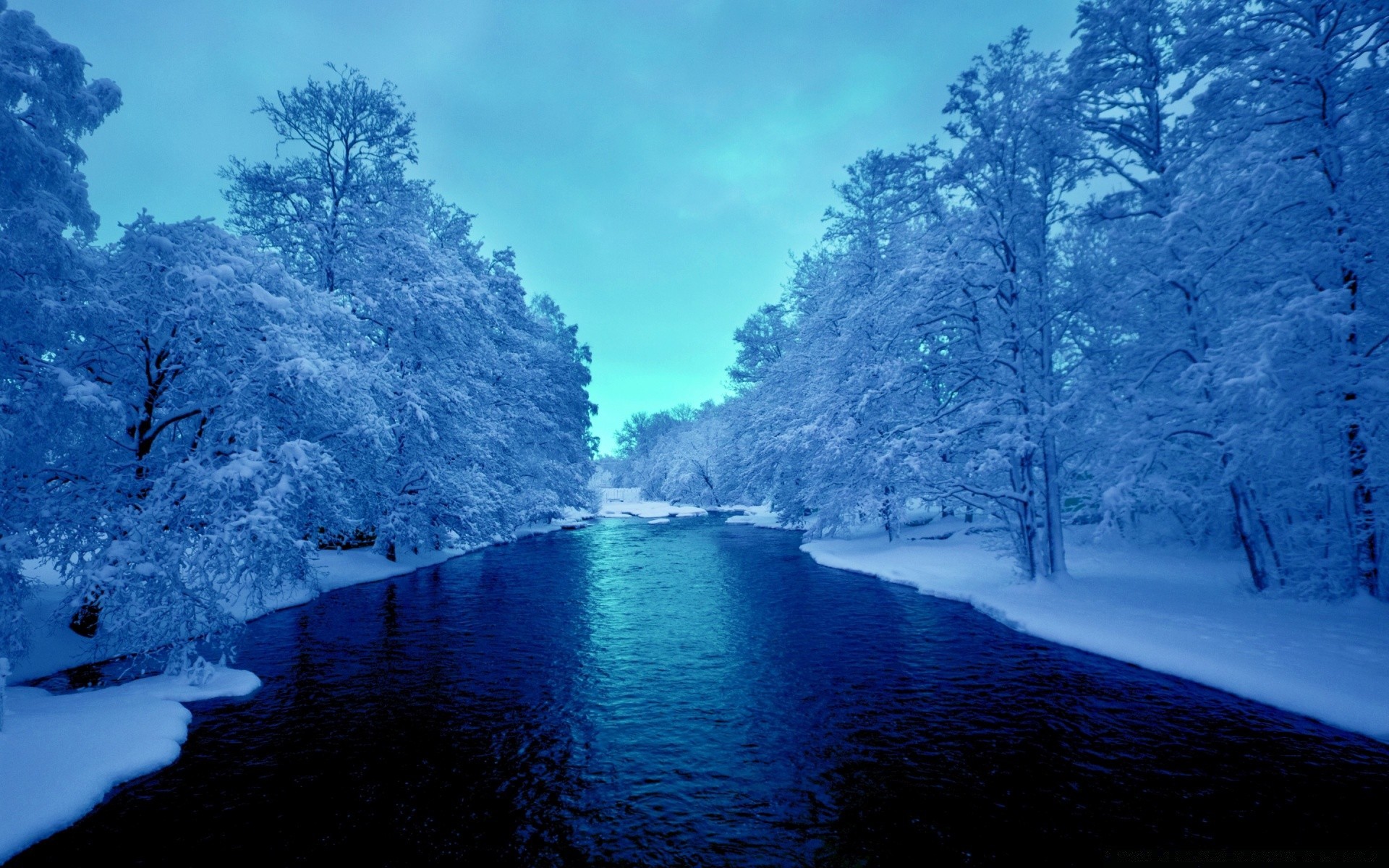 inverno água neve paisagem árvore cênica natureza frio viajar ao ar livre madeira gelo lago