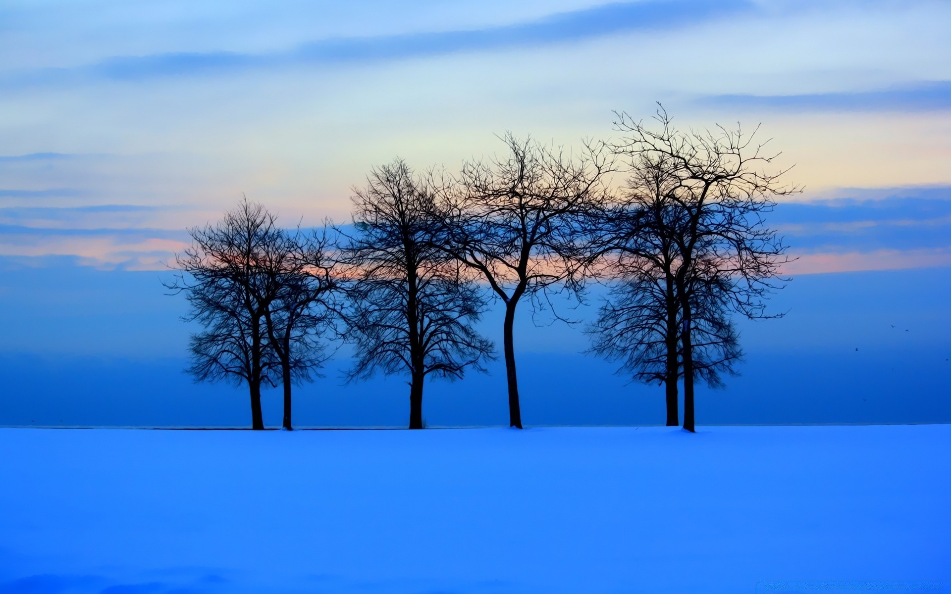 winter tree landscape nature sky wood dawn sun outdoors branch weather fair weather silhouette season scenic light cold solitude