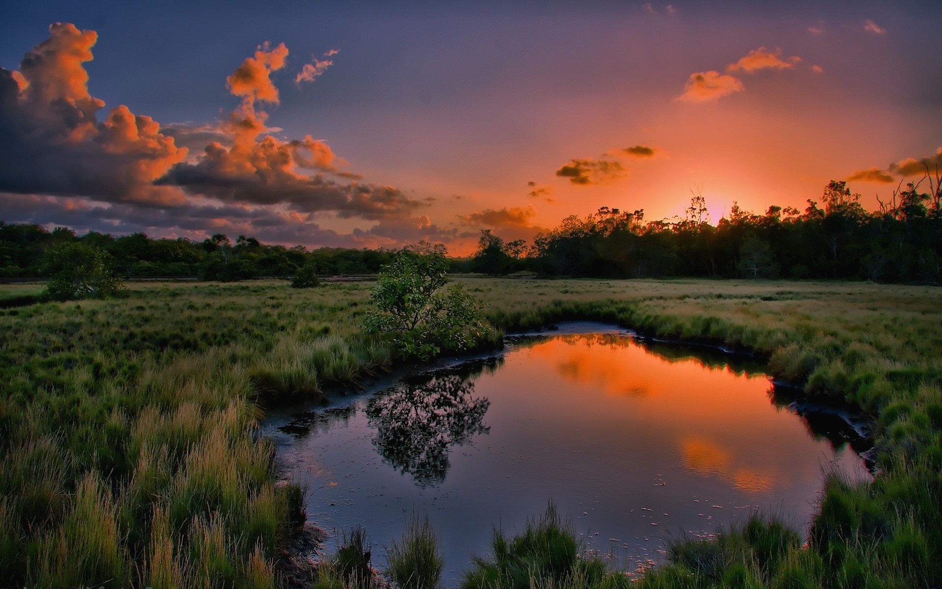 summer sunset water dawn nature landscape lake sky sun reflection tree river evening outdoors travel dusk fair weather