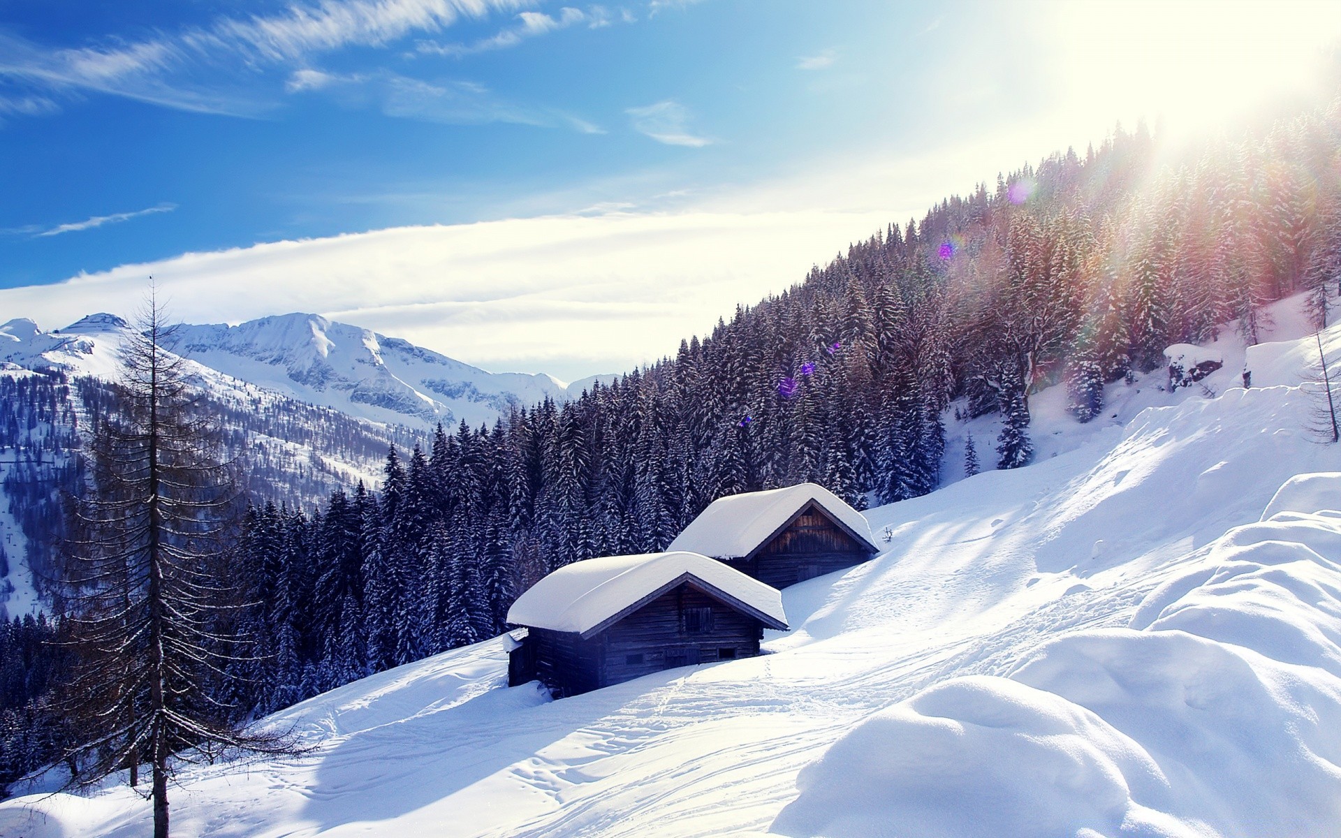 inverno neve frio montanha madeira cênica gelo geada paisagem resort congelado neve colina pico da montanha tempo árvore alpino temporada