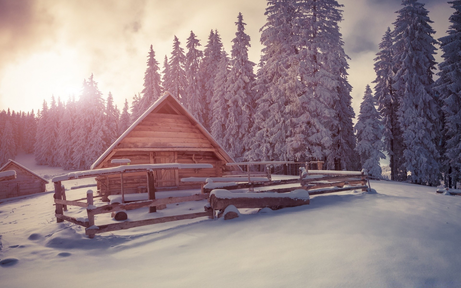 winter snow cold wood frost ice frozen tree outdoors hut nature log cabin frosty