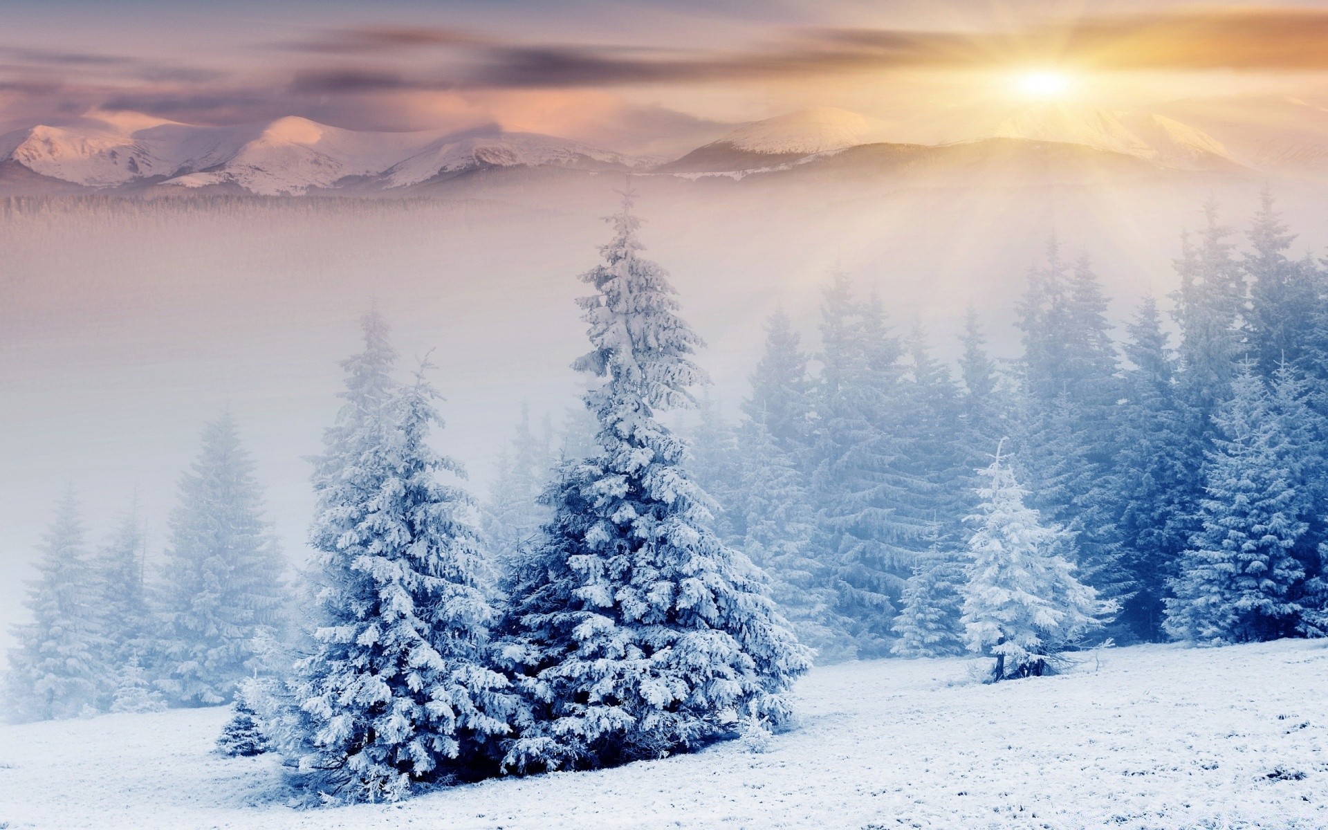 inverno neve freddo gelo ghiaccio congelato paesaggio natura nebbia tempo montagna legno alba scenico bel tempo all aperto stagione gelido cielo