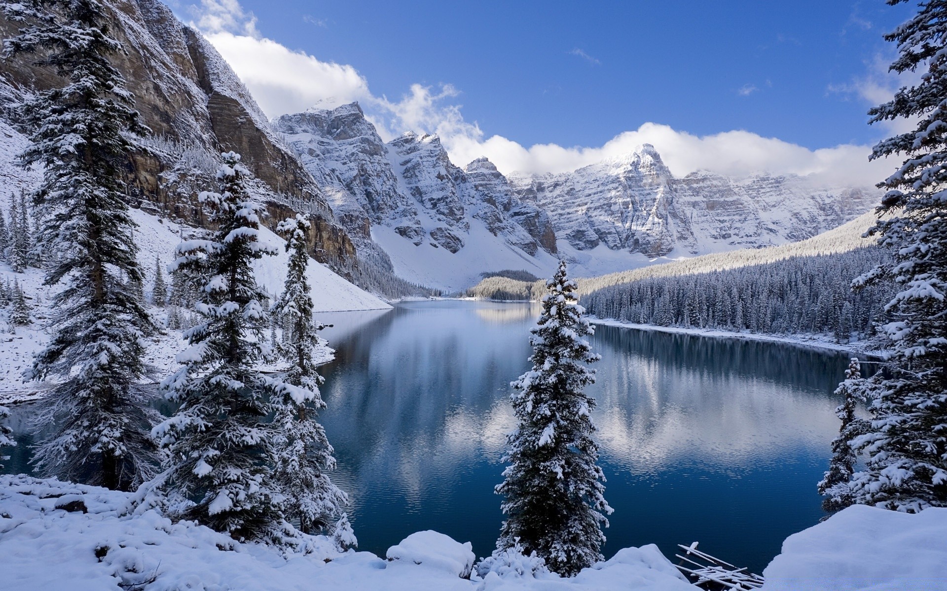 hiver neige montagne froid scénique bois glace evergreen paysage conifères pic de montagne nature neigeux congelé à l extérieur gel