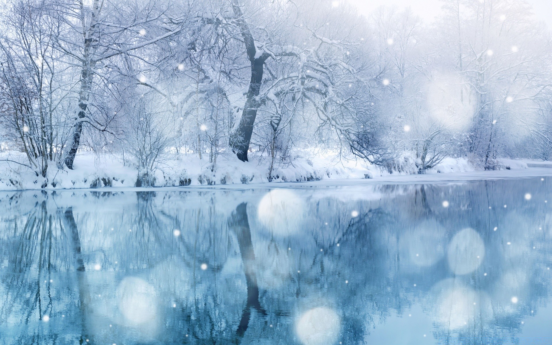 invierno nieve escarcha frío congelado hielo hielo temporada helada árbol tiempo blanco como la nieve navidad paisaje tormenta de nieve copo de nieve madera frío