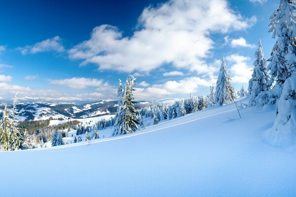 A field in the snow picturesque mountains