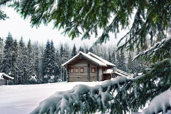 Ein Haus, das durch Schnee im Wald zensiert ist