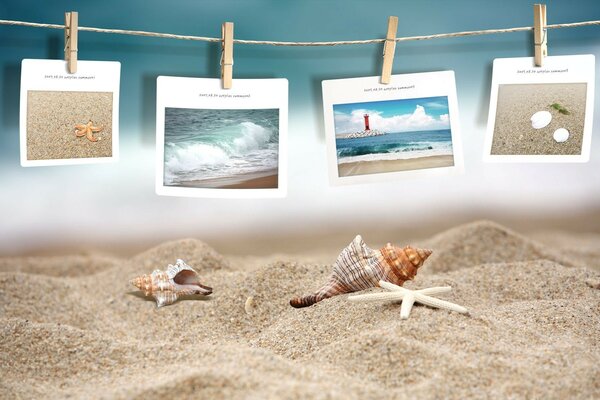 Sand with shells and photos