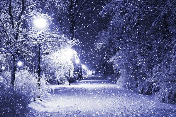 Snowfall in a night park with lanterns