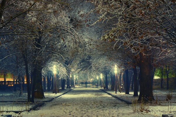 Ein verschneiter Boulevard und das Licht der Laternen in der Nacht