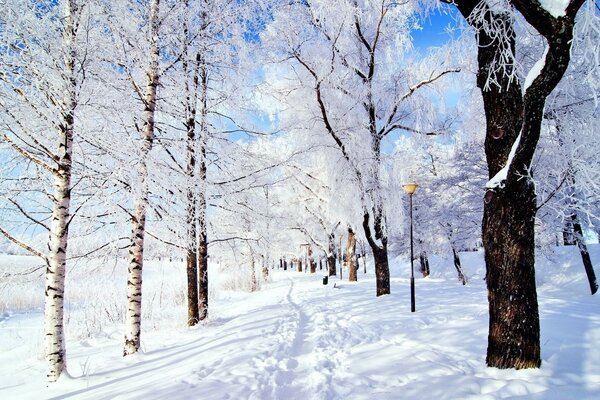 Winter day, all in the snow