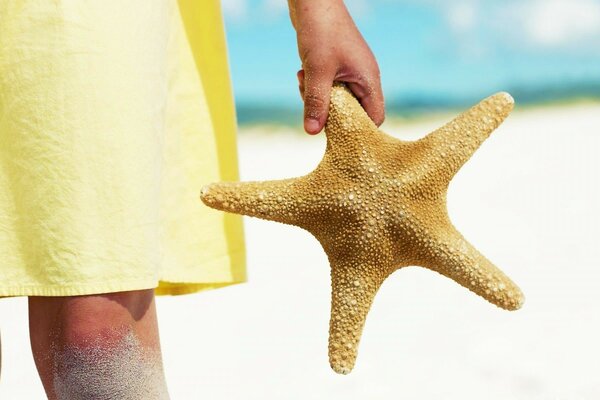 Ragazza con stella marina sulla spiaggia