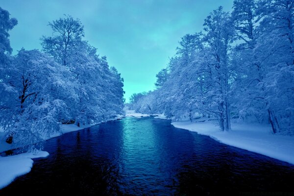 Winterlandschaft, mitten im Wasser, an den Seiten der Bäume im Schnee