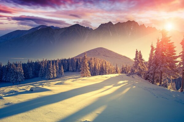 Dämmerung auf dem Hintergrund der schneebedeckten Berge und Wälder