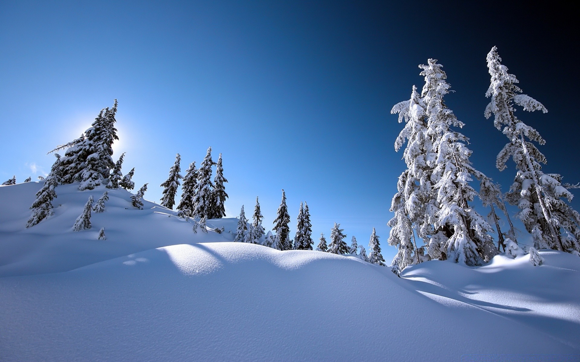 invierno nieve frío hielo escarcha montaña congelado madera tiempo evergreen nevado escénico coníferas árbol polvo escarchado paisaje pico de montaña