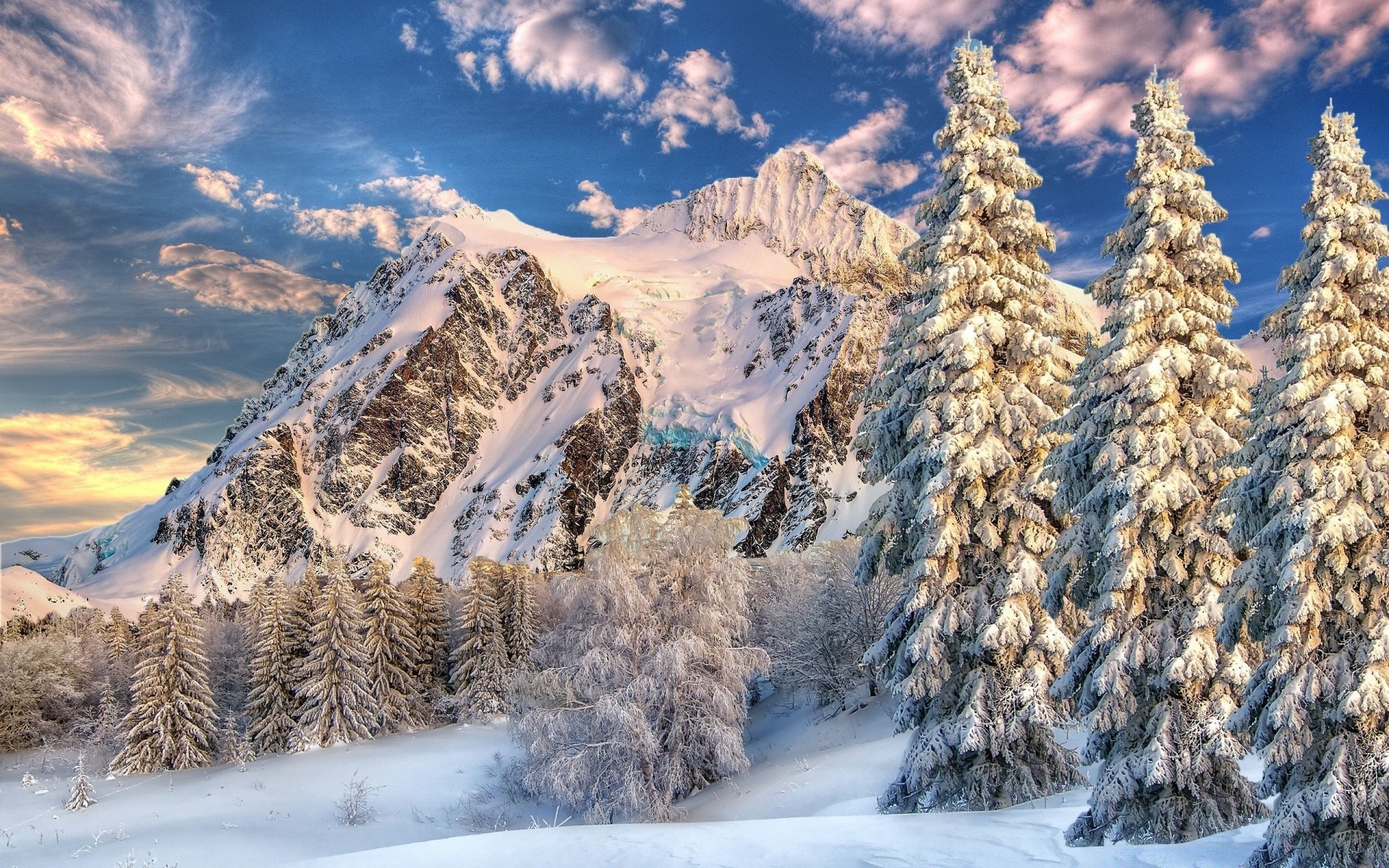 hiver neige montagne froid glace paysage gel bois congelé scénique saison nature pic de montagne arbre alpin ciel evergreen météo neigeux