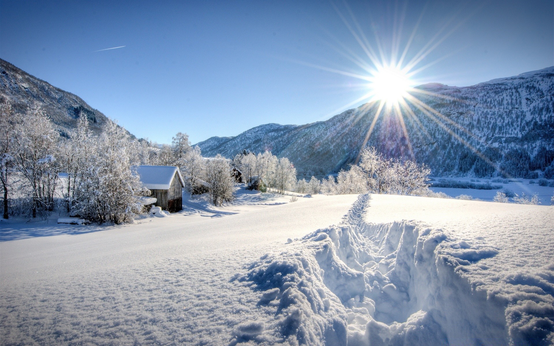 冬天 雪 冷 山 冰 景观 霜 冰冻 风景 自然 木材 树 好天气 季节 旅游 天空 户外