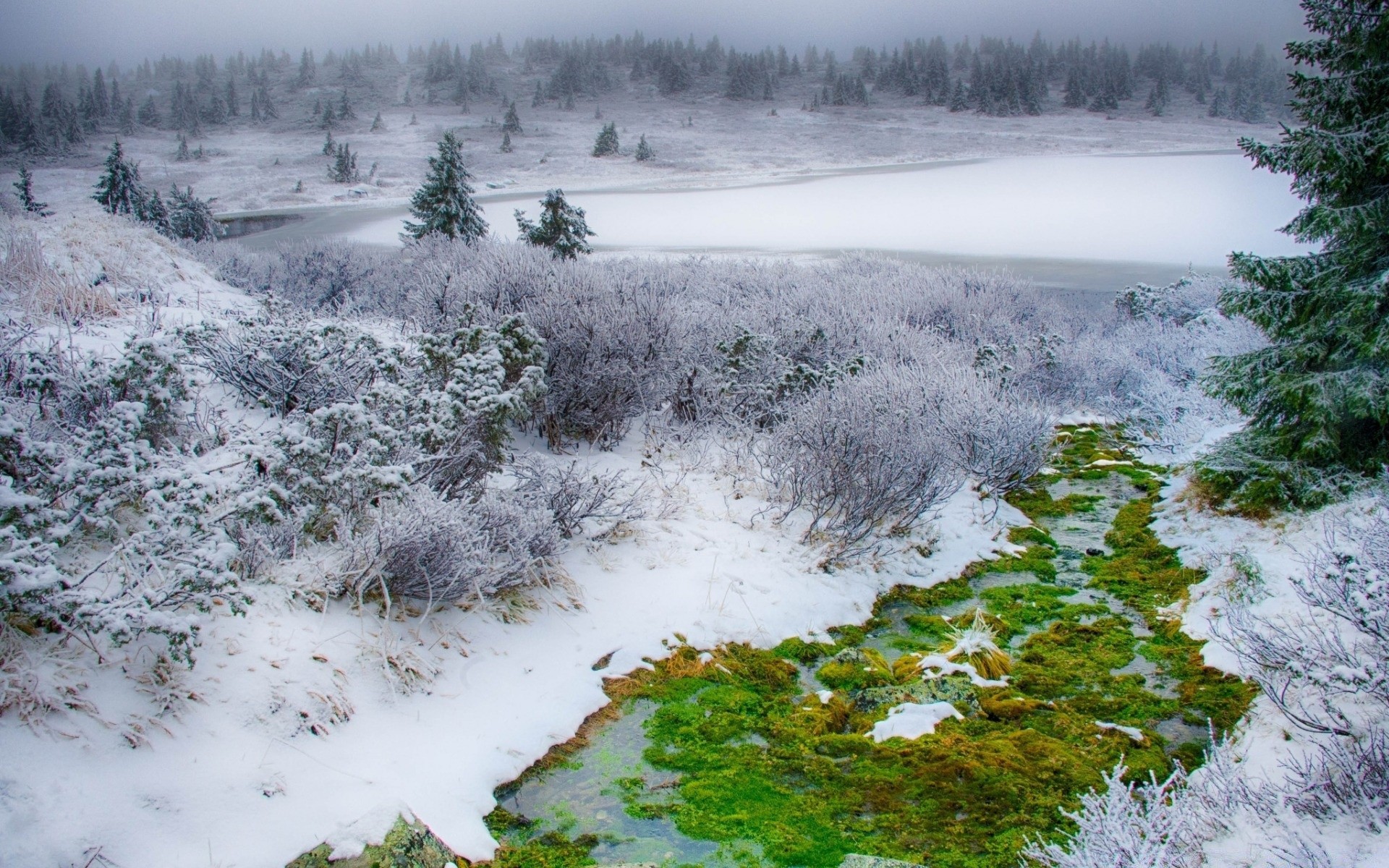 winter landscape nature snow water tree wood outdoors river cold scenic season travel scene weather environment frost ice park