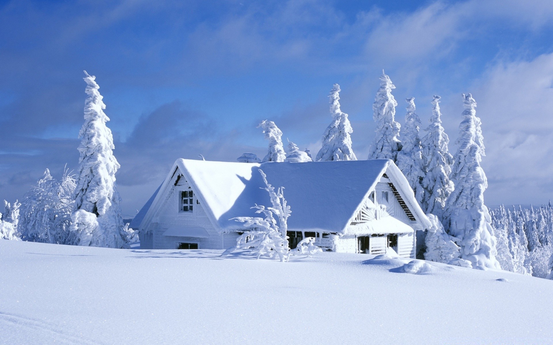 hiver neige froid glace congelé montagnes gel givré cabane paysage scénique bungalow météo bois station chalet neigeux maison congère