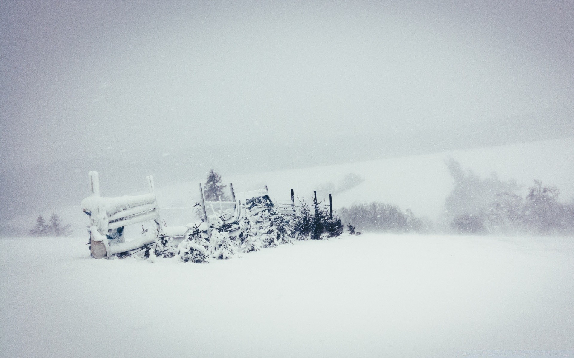 winter snow cold frozen weather ice frost fog landscape frosty snowstorm christmas tree storm mountain