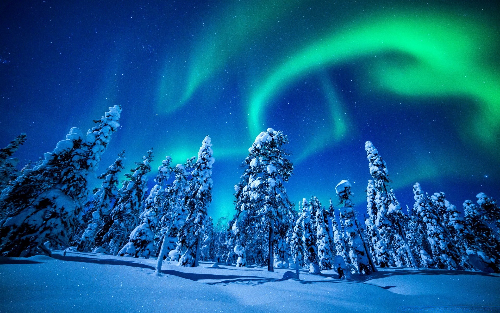 invierno nieve frío navidad luz luna naturaleza