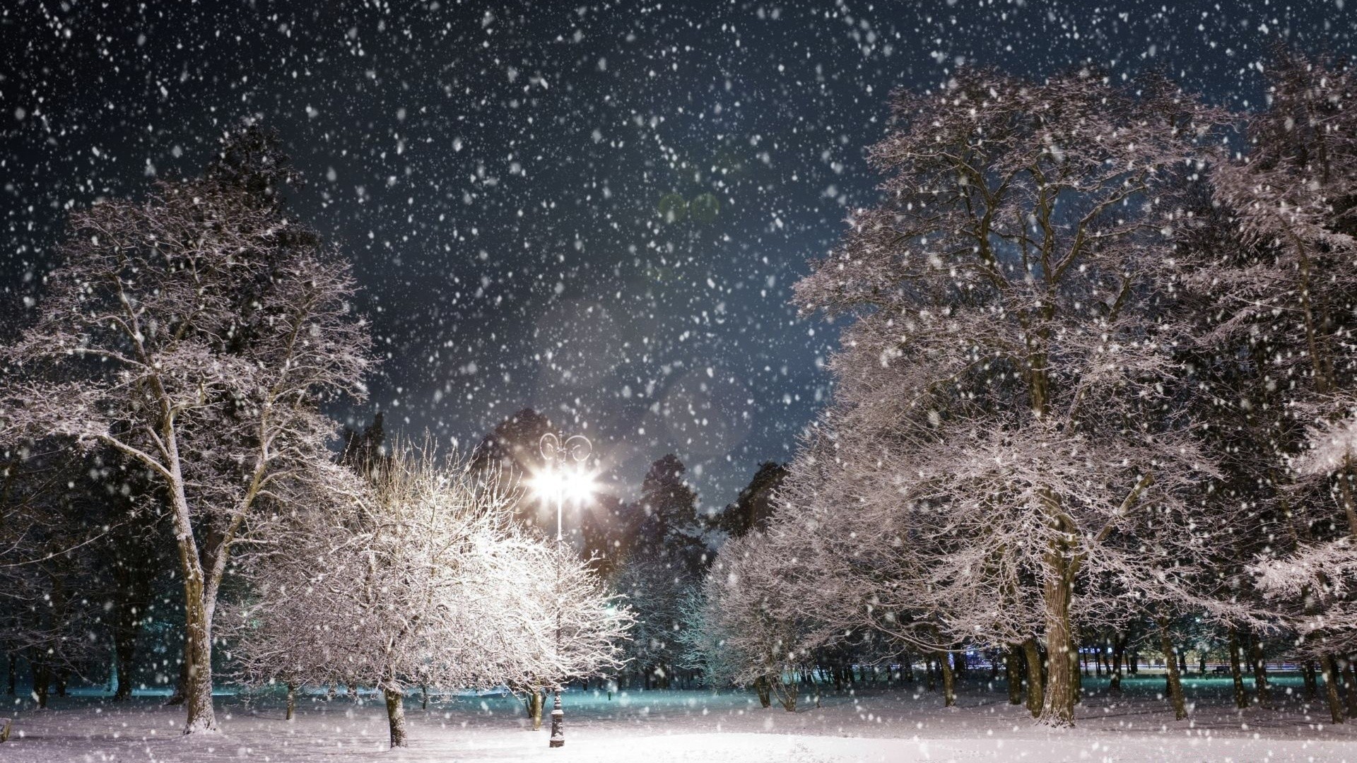 invierno nieve árbol frío hielo temporada congelado tiempo escarcha paisaje tormenta de nieve naturaleza luz escritorio parque madera al aire libre cielo