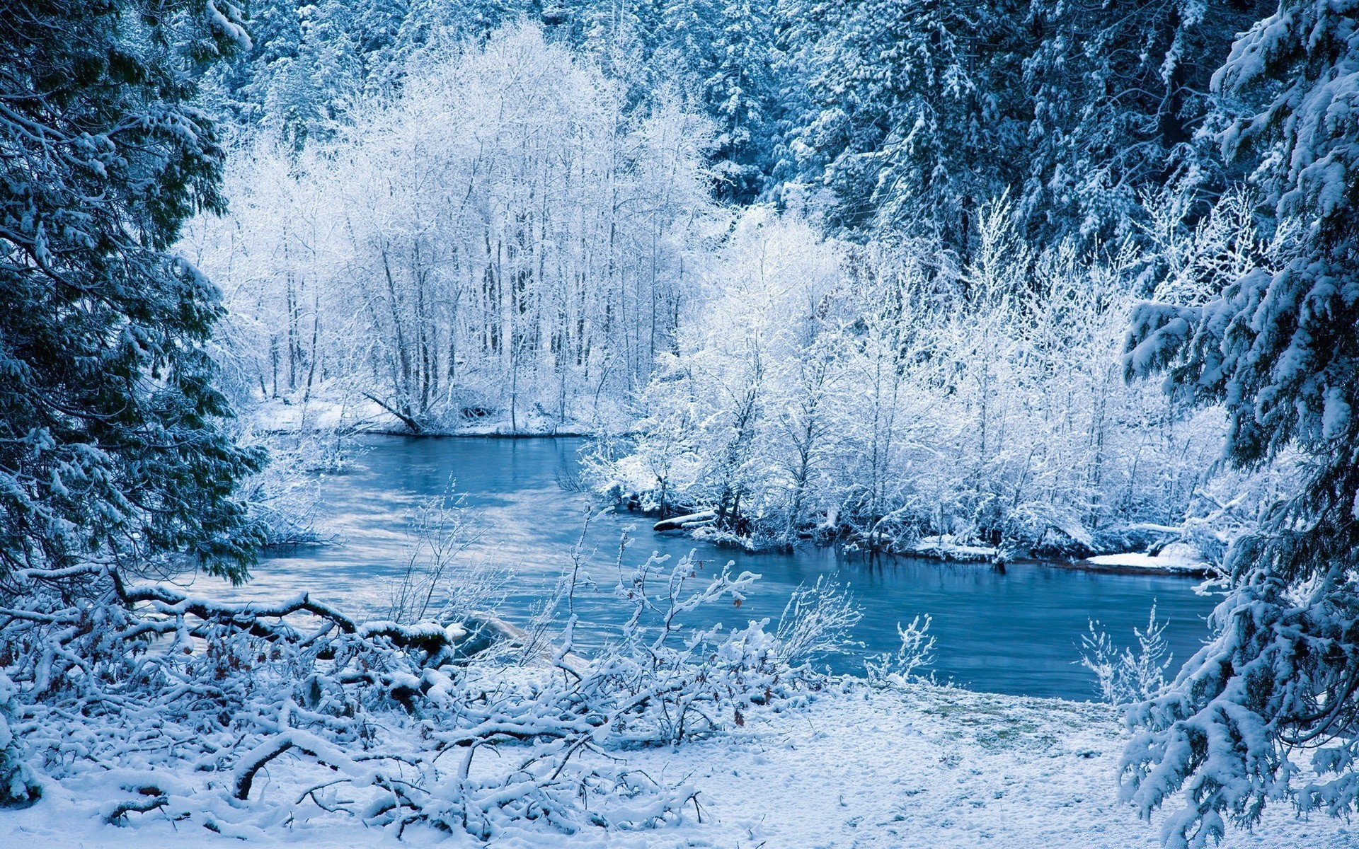 invierno nieve congelado frío hielo escarcha árbol paisaje temporada naturaleza agua madera escarchado helado tiempo escénico lago