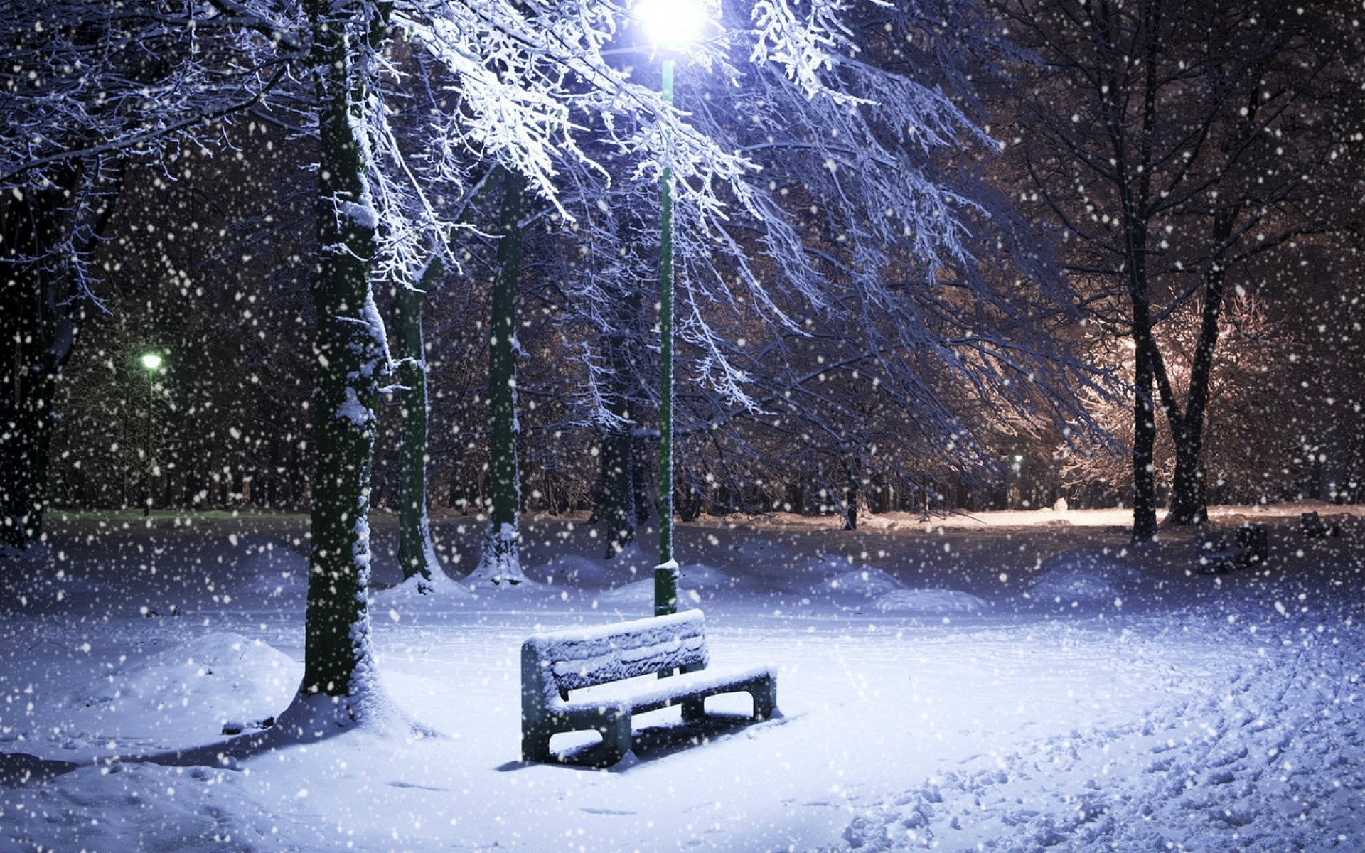 winter snow cold frozen frost ice tree weather season snowstorm landscape wood christmas light snow-white nature icy frosty