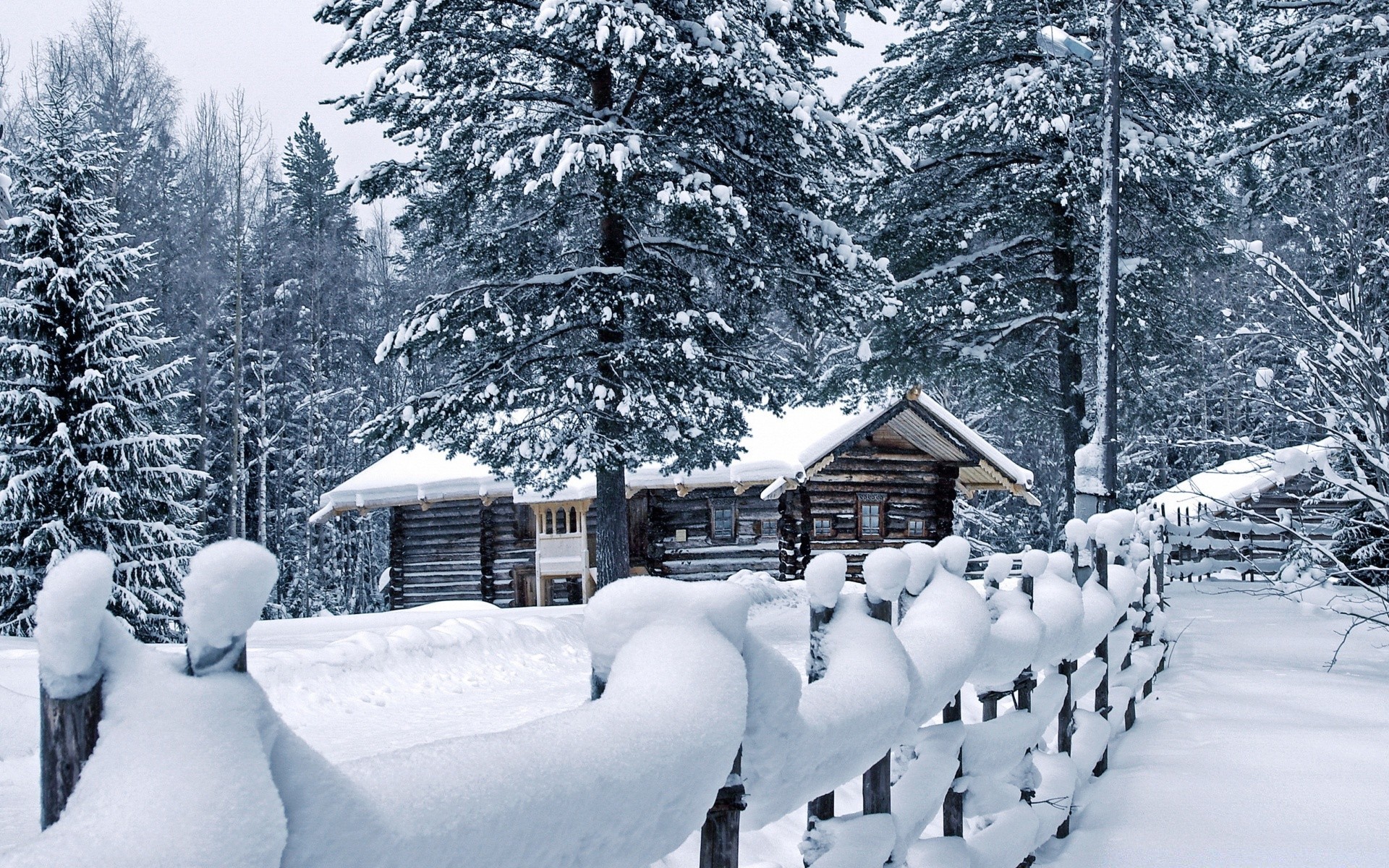 hiver neige bois froid bois montagnes station balnéaire scénique à l extérieur paysage gel