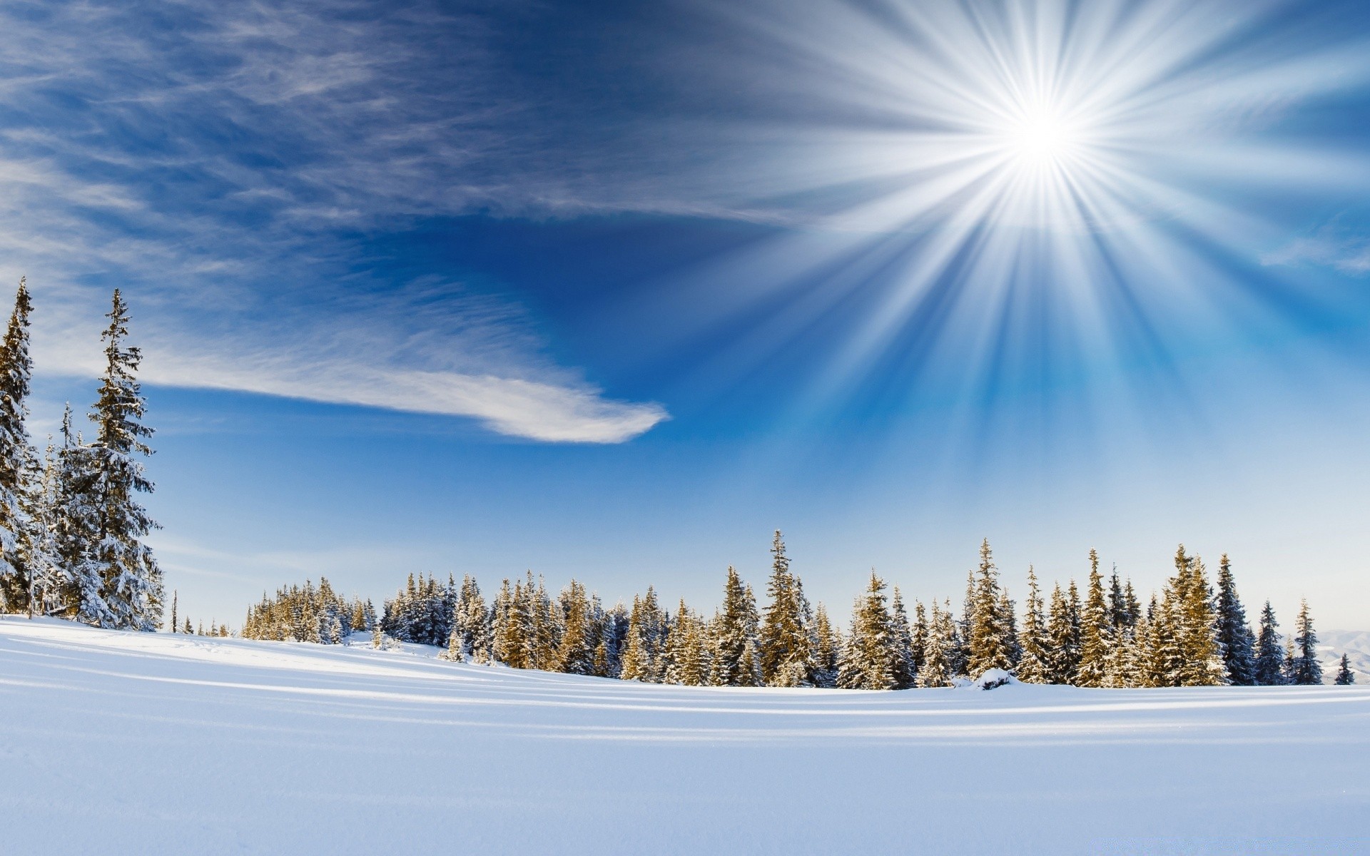 hiver neige froid bois gel bois glace beau temps météo paysage congelé scénique saison nature aube montagnes evergreen