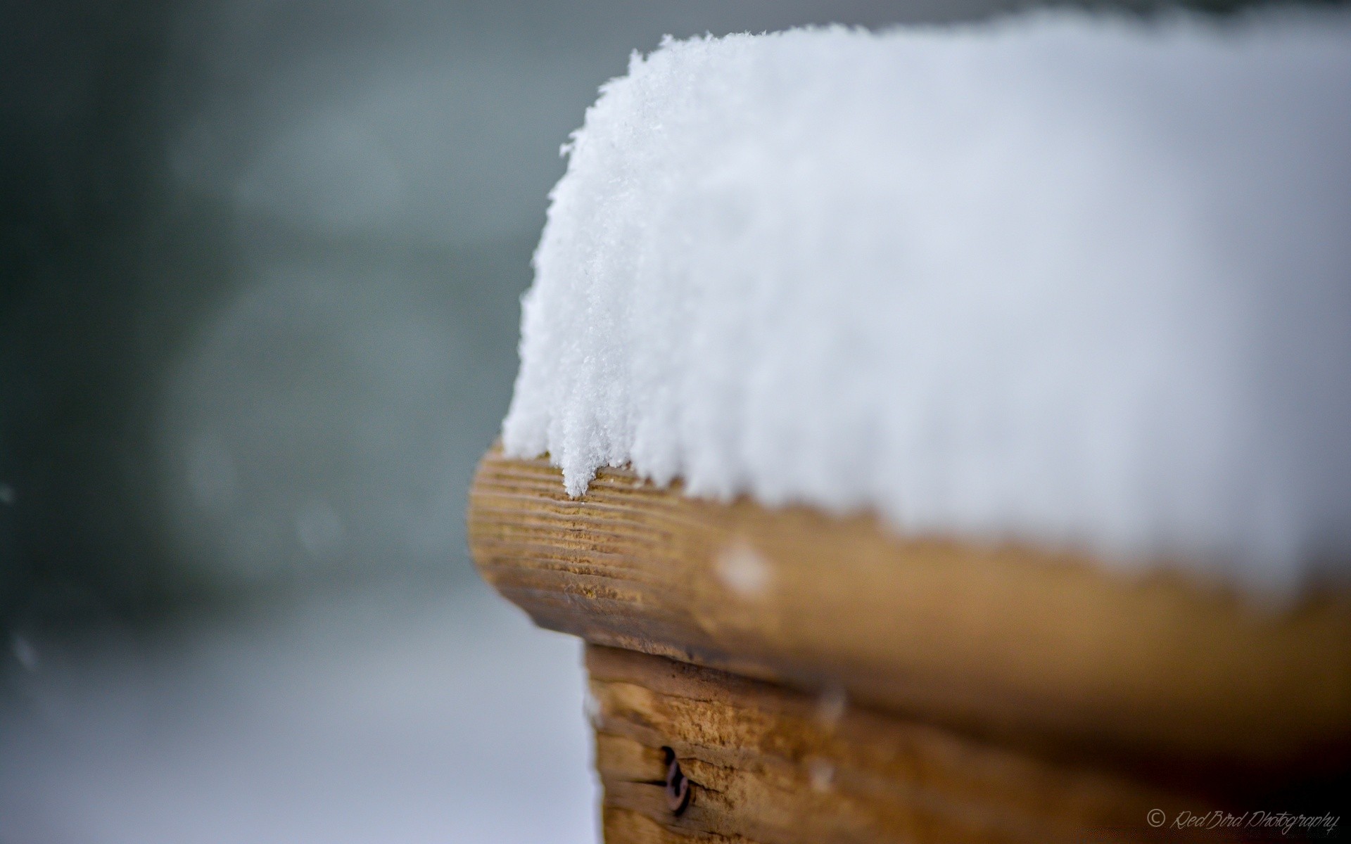 winter unschärfe holz stillleben schnee natur im freien