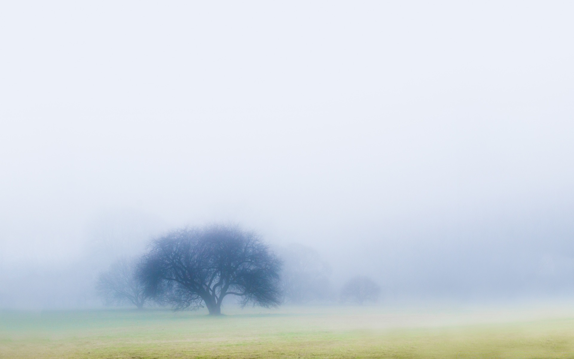 winter nature landscape grass sky field outdoors fog countryside rural summer sun tree fall