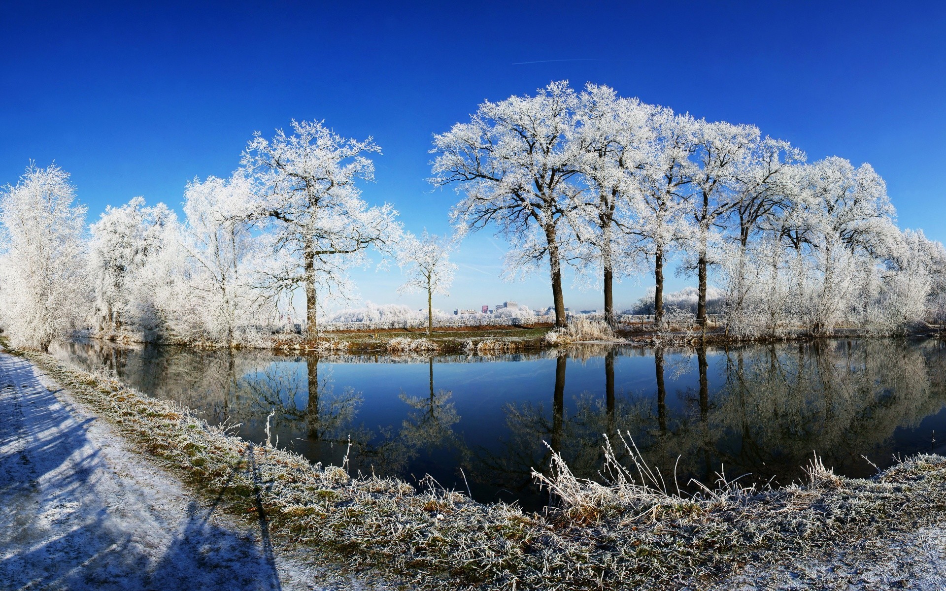 winter landscape tree nature wood sky season water snow scenic scene outdoors park sight cold reflection lake fair weather branch