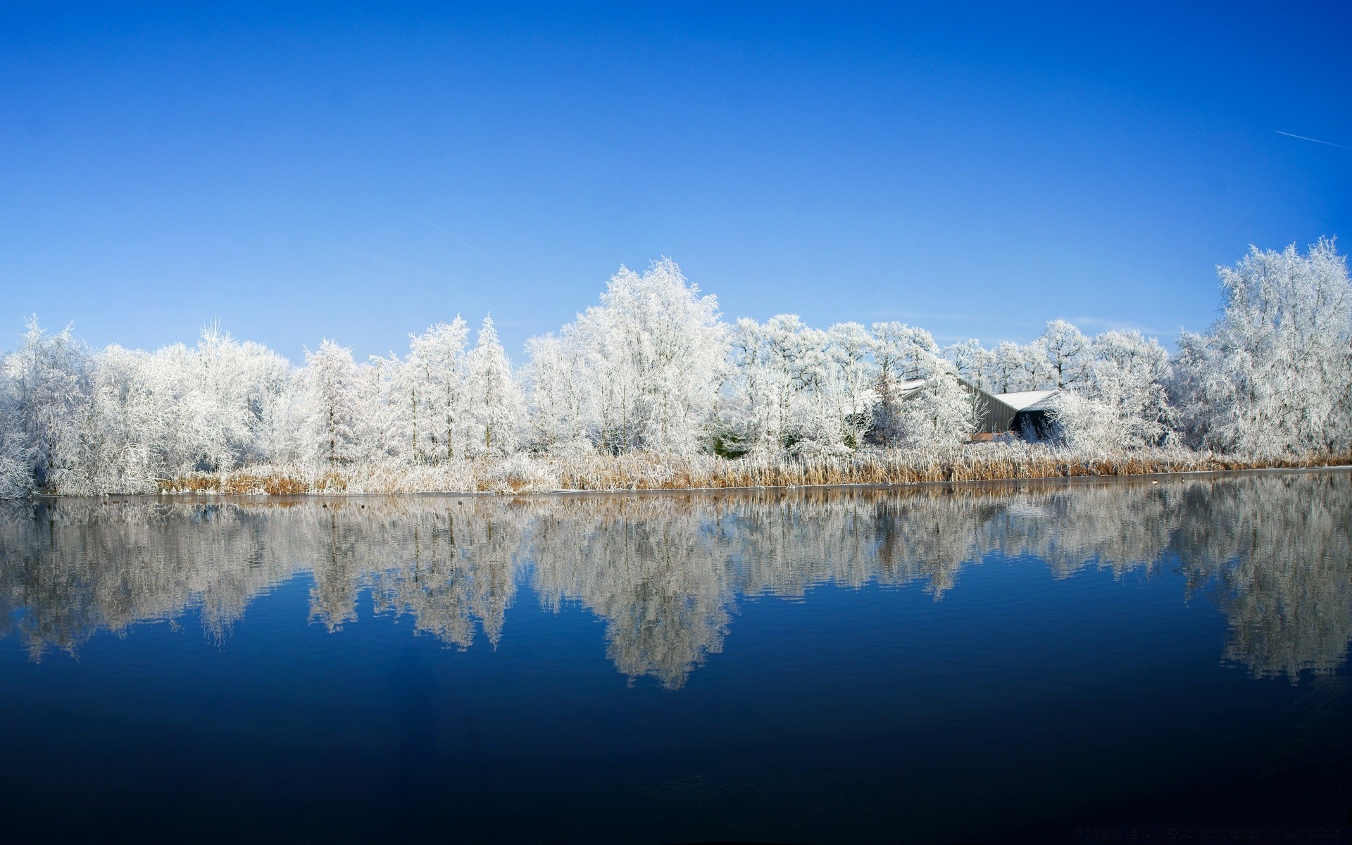 inverno neve geada frio natureza temporada paisagem gelo madeira congelada reflexão brilhante céu água tempo