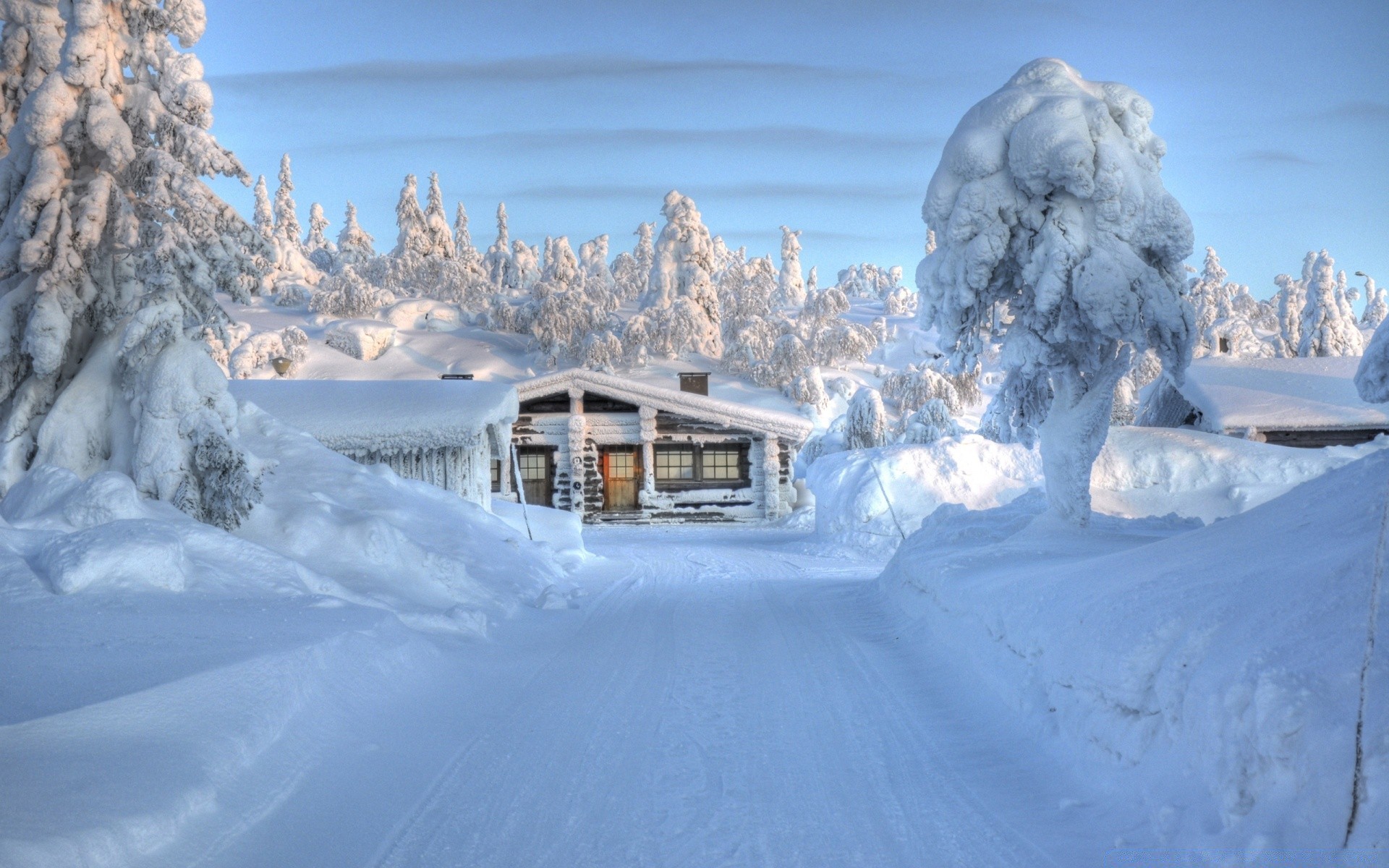 invierno nieve frío hielo congelado montaña escarcha madera escénico tiempo nevado resort paisaje temporada nieve luz del día