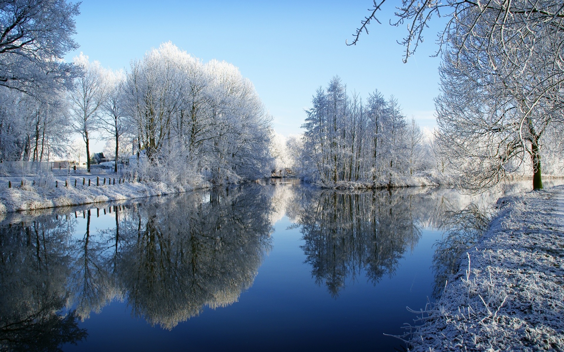 winter snow cold frost landscape tree wood nature frozen ice season weather dawn fair weather outdoors reflection water sky scenic