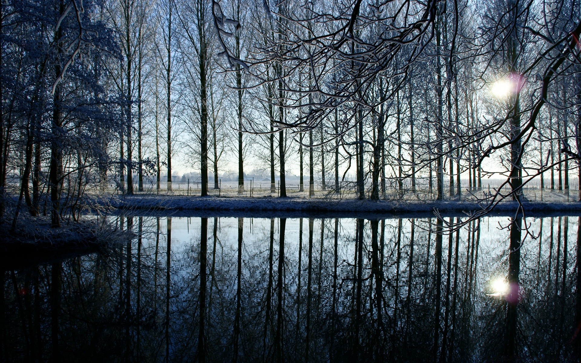 winter landscape tree reflection nature wood dawn weather lake water fog light fall outdoors season fair weather sun river mist