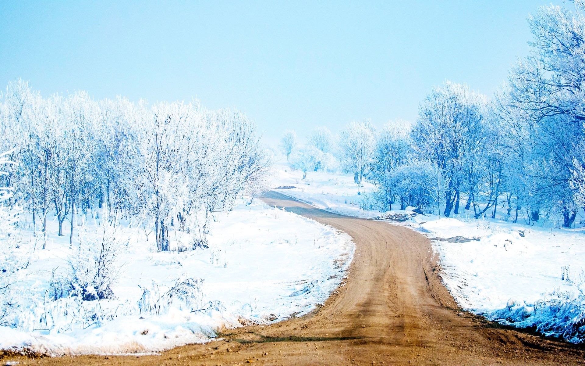 hiver neige froid glace paysage gel congelé scénique météo nature saison bois bois givré