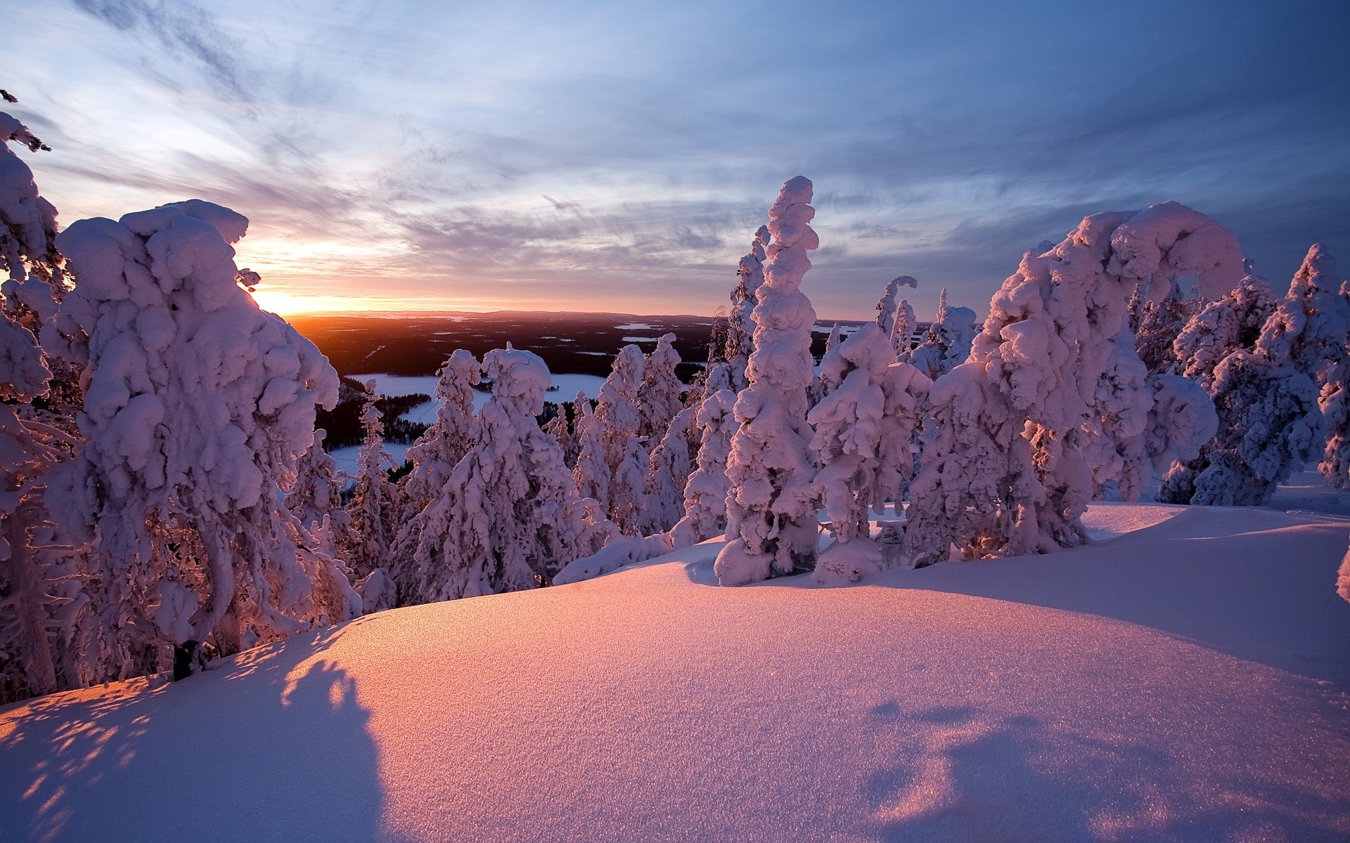 hiver neige froid glace gel aube congelé paysage météo voyage scénique coucher de soleil ciel en plein air beau temps nature