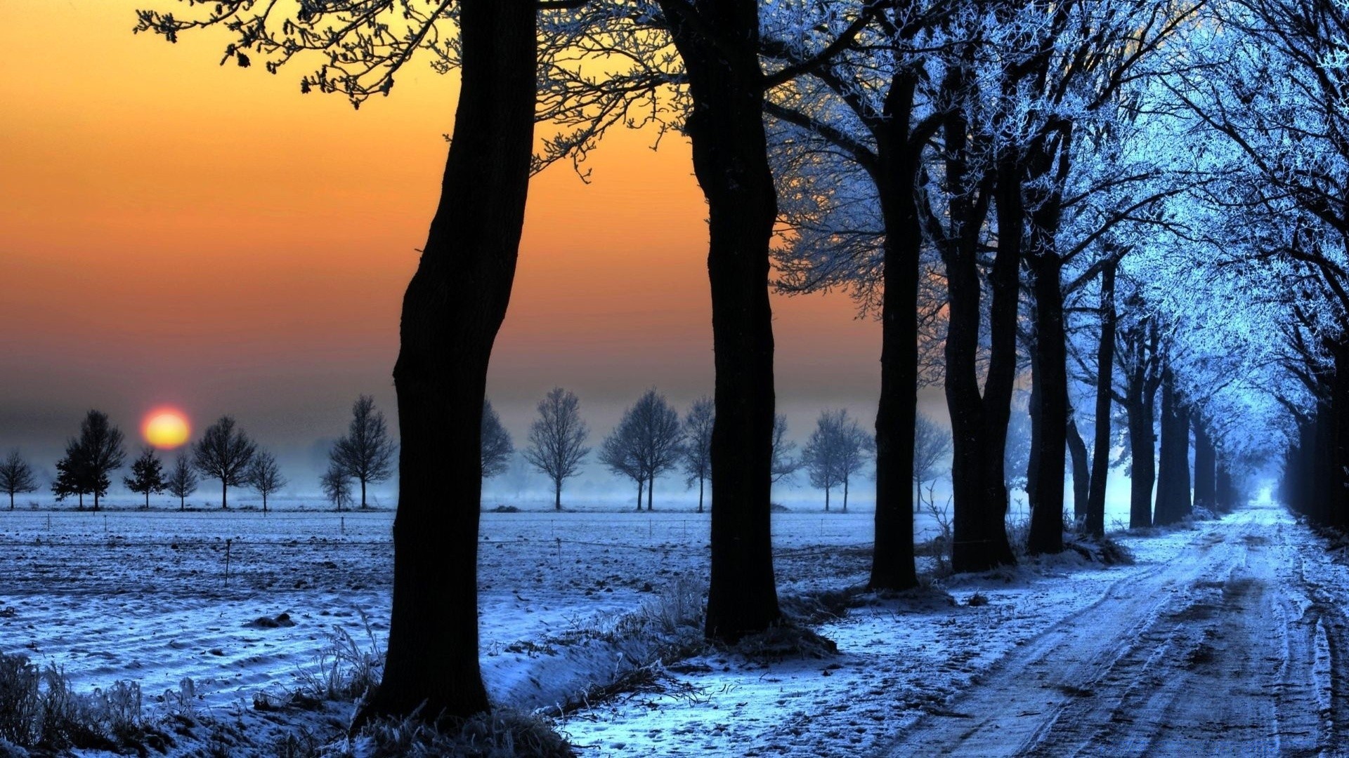 winter dawn tree landscape fall sunset wood nature sun fair weather fog scenic evening outdoors mist weather season park backlit