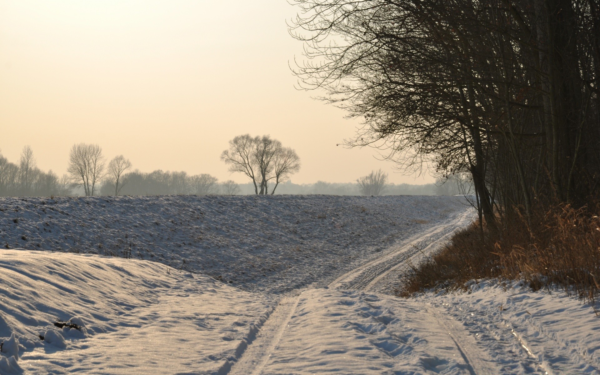 inverno paesaggio neve albero strada freddo tempo natura ghiaccio nebbia alba gelo all aperto congelato manuale legno ambiente