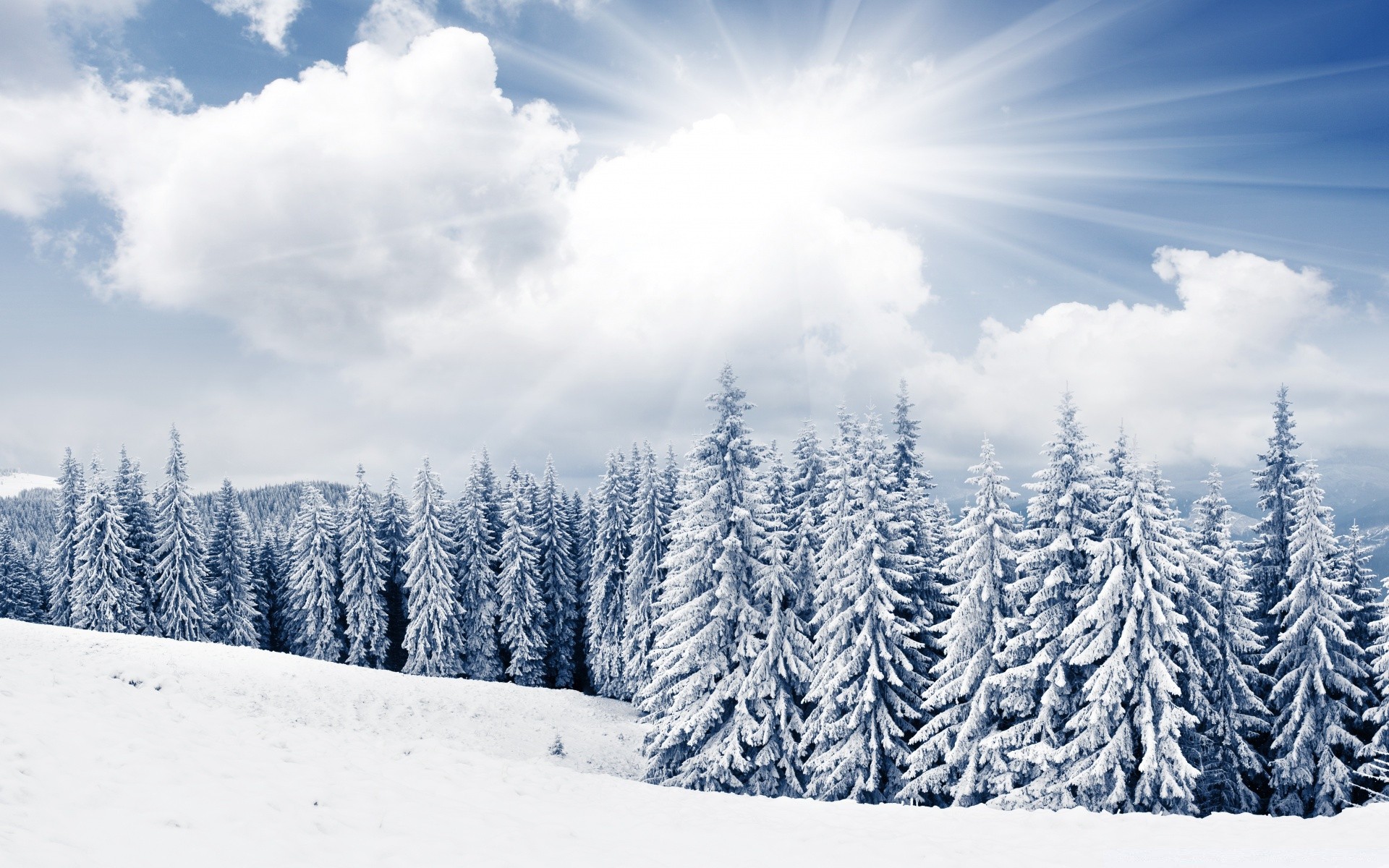 winter schnee frost kälte holz natur landschaft eis gefroren berge jahreszeit baum wetter