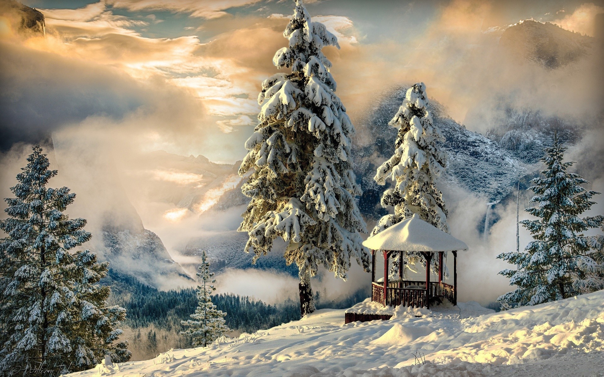 invierno nieve frío madera montaña árbol hielo paisaje escarcha evergreen naturaleza congelado tiempo cielo escénico al aire libre temporada