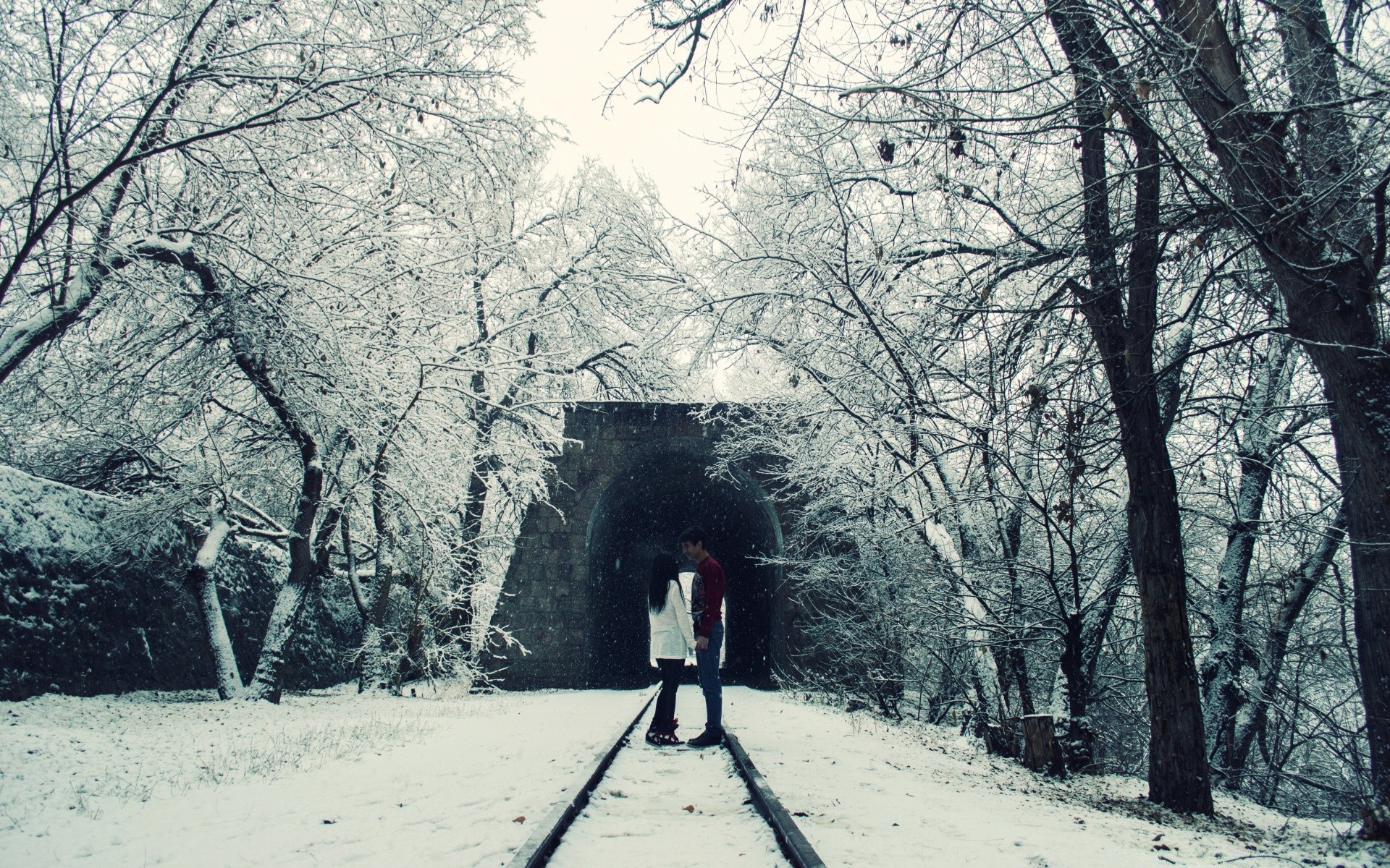 hiver neige bois froid bois gel saison congelé parc guide route paysage branche brouillard glace météo sentier