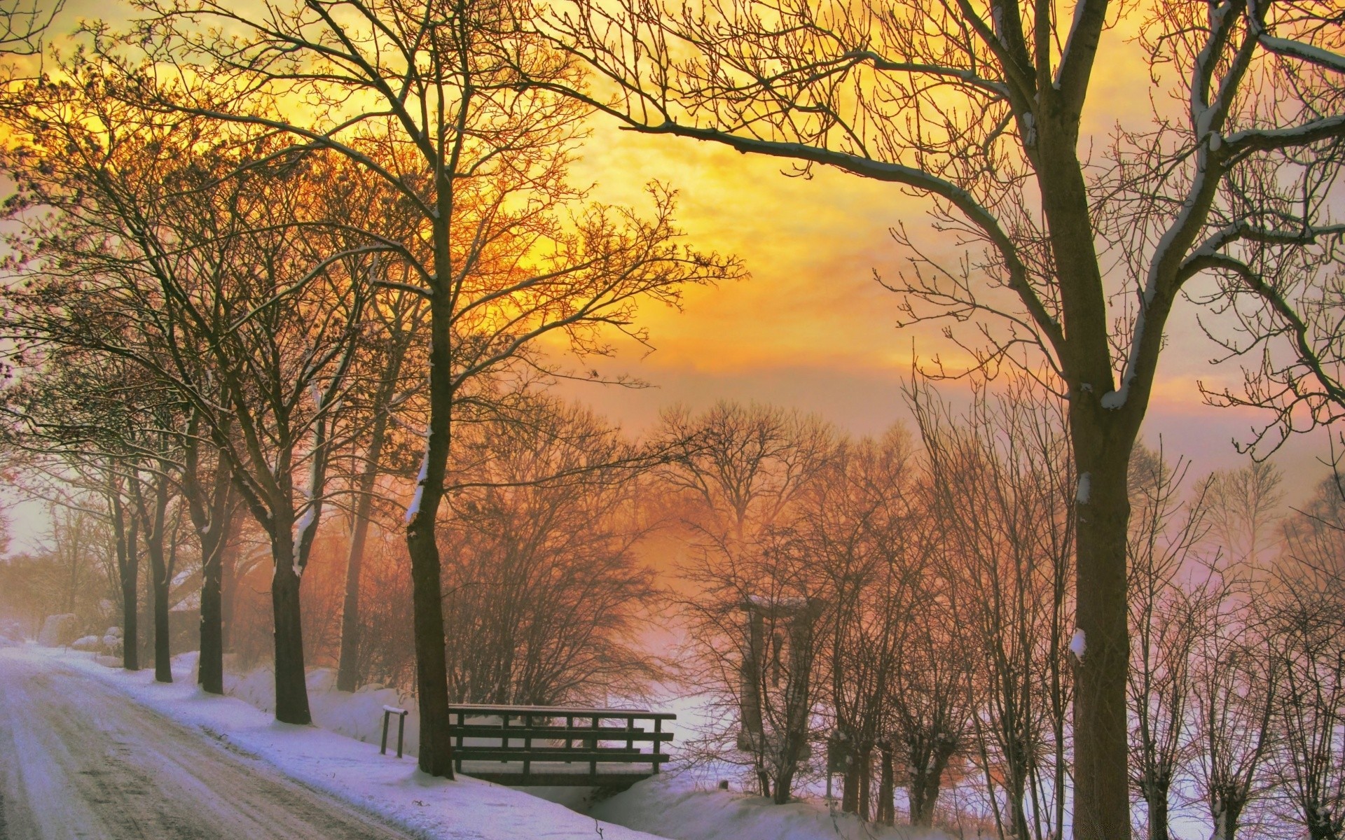 winter baum herbst holz landschaft dämmerung natur jahreszeit park gutes wetter landschaft blatt nebel ländliche landschaftlich nebel im freien zweig sonne