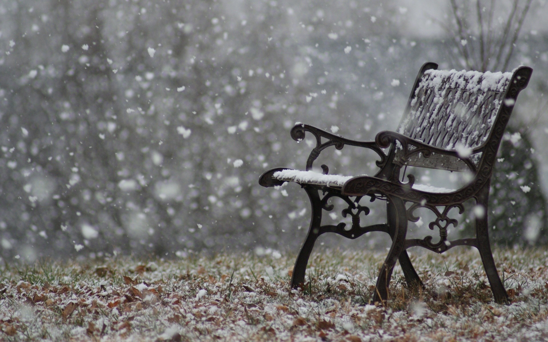 hiver neige siège froid banc bois nature en plein air saison parc chaise météo gel bureau